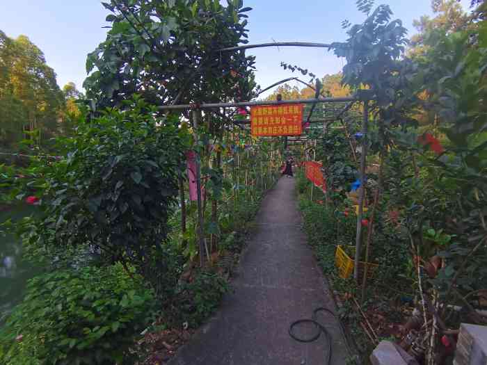 和大山聚源农庄"这是一家比较偏远的农家菜,要走一段的山路.