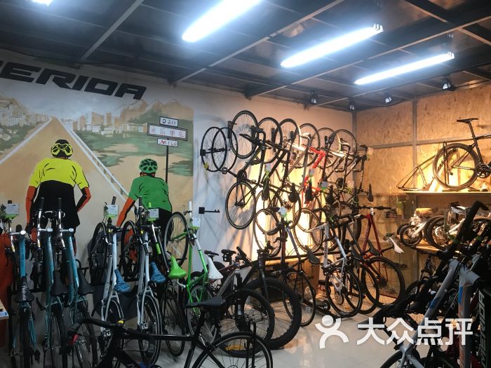 美利达自行车川沙专卖店-图片-上海购物-大众点评网