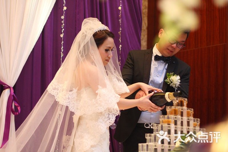 婚纱花嫁_洛天依婚纱花嫁图片(3)