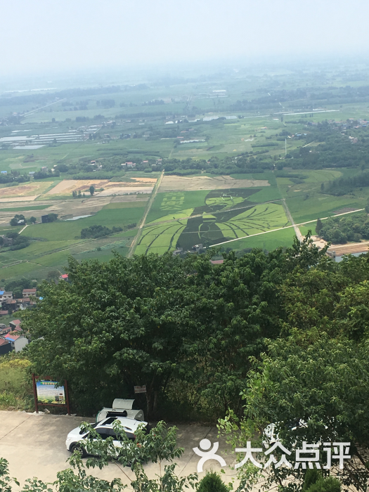 黄山头森林公园-图片-安乡县周边游-大众点评网