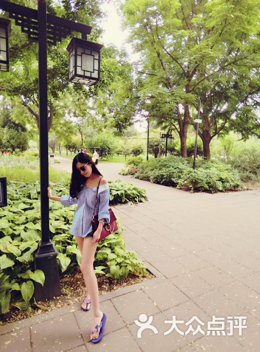 月坛公园-图片-北京周边游-大众点评网