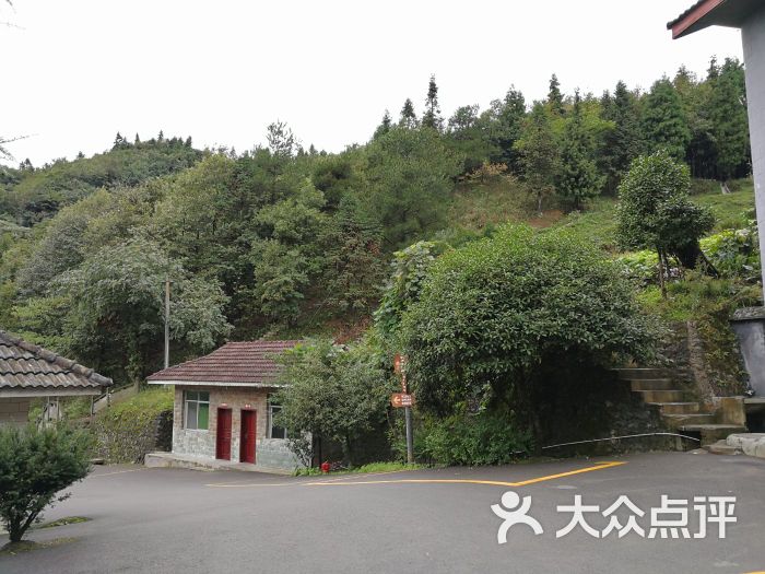 重庆南川山王坪云岭森林酒店图片 - 第3张