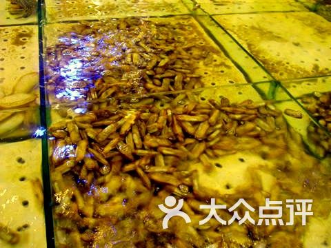 满族八大碗_农村八大碗菜菜谱_海鲜八大碗(4)