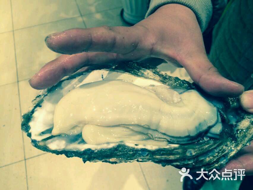 海鲜姿造_福州雍和会海鲜姿造_蒋记海鲜姿造