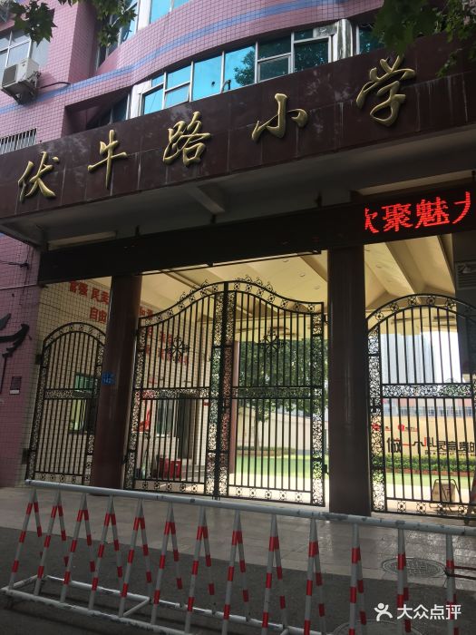 伏牛路小学(北校区)图片 - 第3张