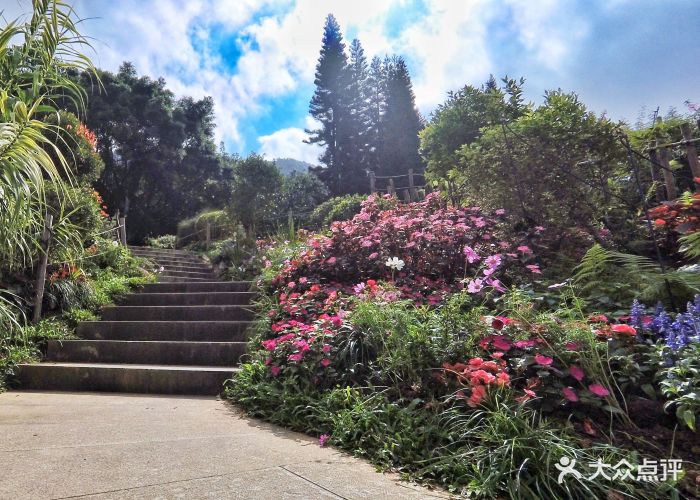 中科院仙湖植物园景点 天上人间图片 - 第35张