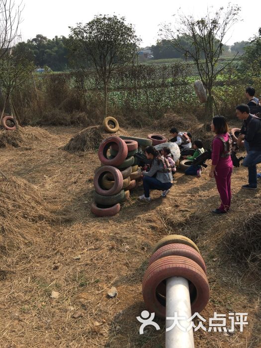 龙腾青少年素质培训基地-图片-成都生活服务-大众点评网