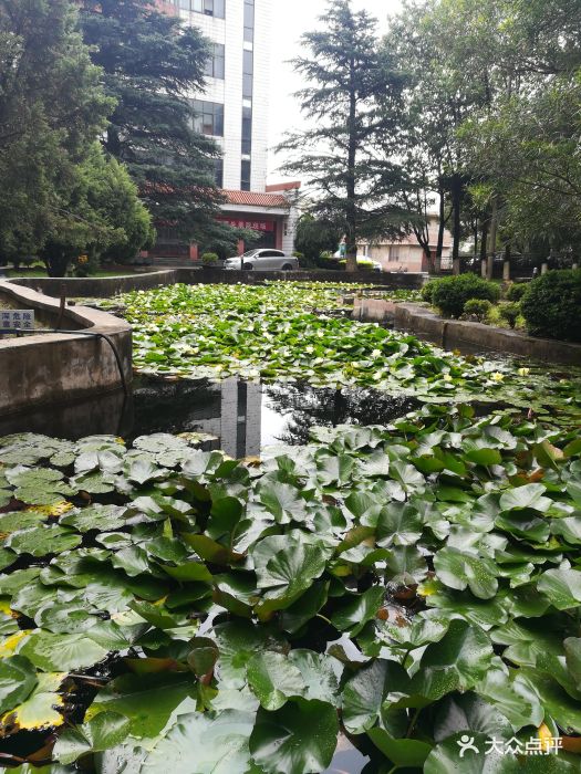 大理大学荷花校区图片 - 第3张