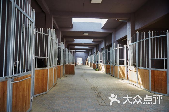马房