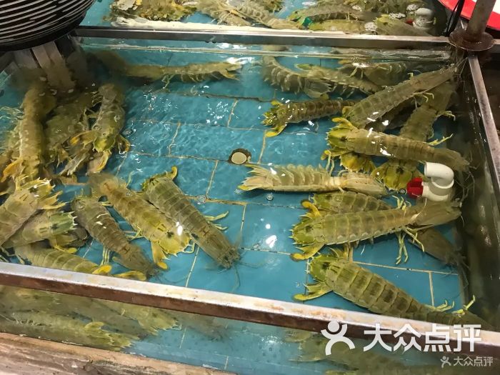 海中舟海鲜广场(浦东花木店)图片 - 第228张