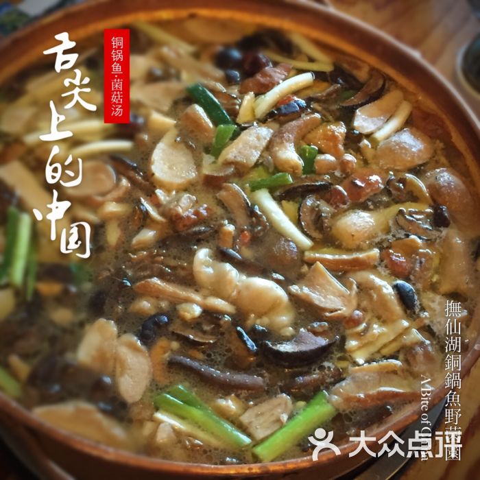 抚仙湖铜锅鱼野菌园铜锅鱼图片 - 第3张