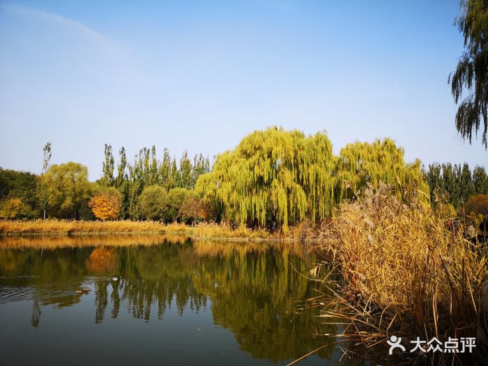 将府公园儿童游乐场(南门店)-图片-北京亲子-大众点评