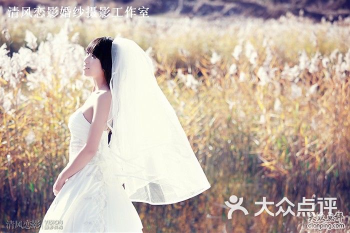 清风婚纱摄影_婚纱摄影(3)