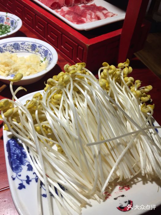 春熙里老火锅(春熙总店)豆芽图片 - 第1767张