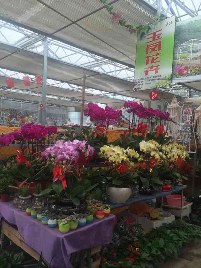 宝鸡市花卉市场-"宝鸡花卉市场就在宝鸡植物园附近,很