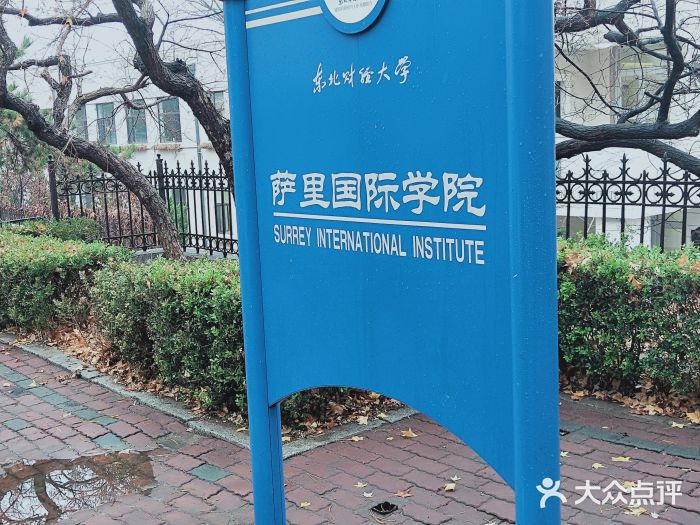 东北财经大学萨里国际学院图片