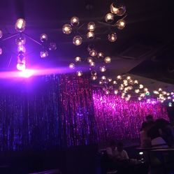 成都水母酒吧人均消费_水母卡通图片