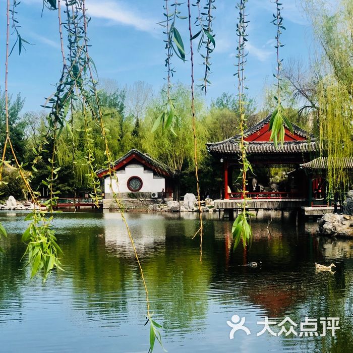 北京大观园图片-北京公园-大众点评网