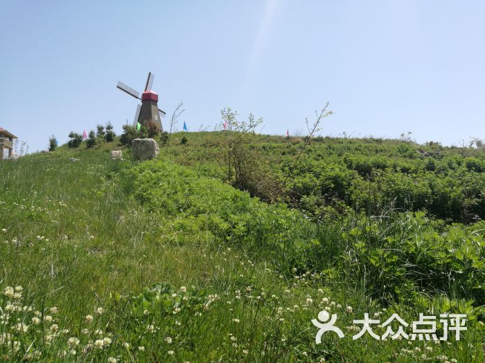 漫天岭国际滑草场图片 - 第1张