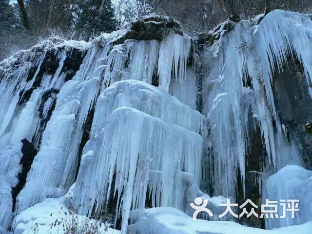 洋湖沟枫林湾农家院-图片-本溪满族自治县酒店-大众