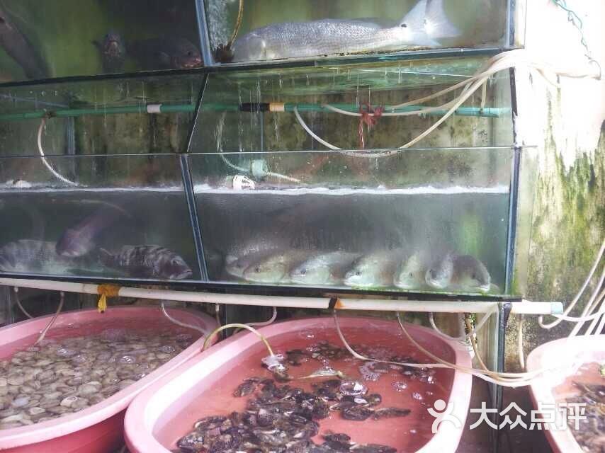 开元141海鲜排档_海鲜美食图片_海鲜排档图片(4)