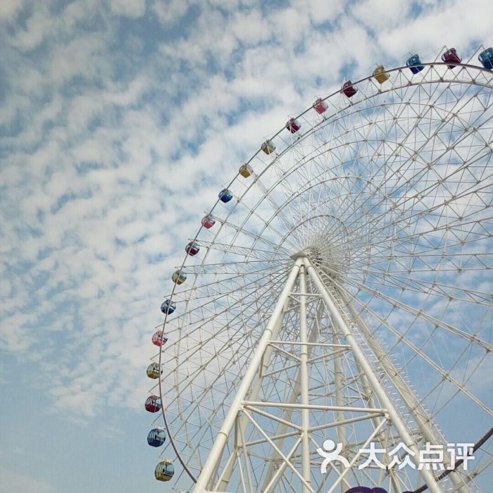 琴岛之眼摩天轮图片 - 第6张
