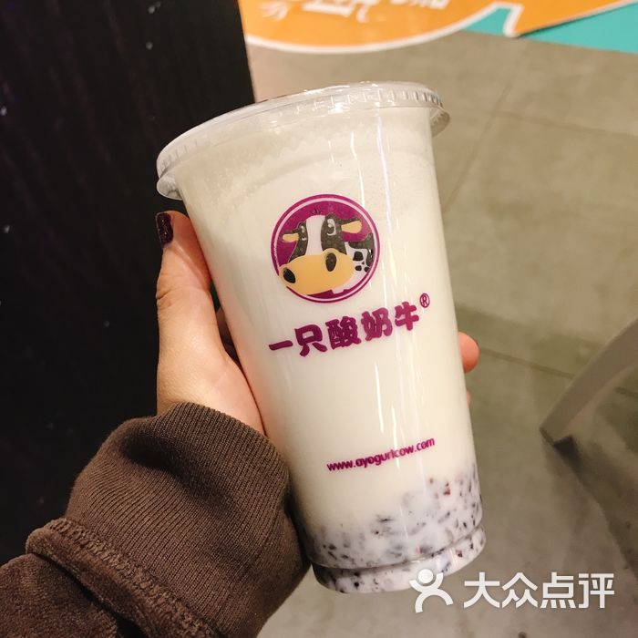一只酸奶牛图片-北京甜品饮品-大众点评网