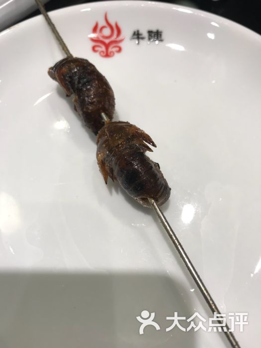 牛阵烧烤(泉城路店)烤蝉图片 第6张