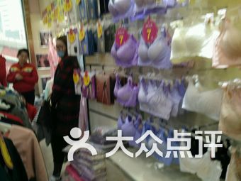 罗丽丝内衣专卖店价格_内衣美女(2)