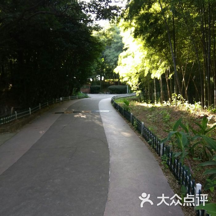 南京古林公园