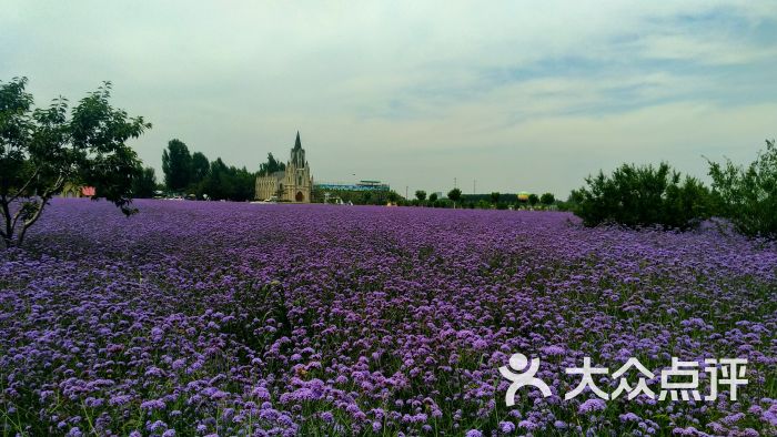 紫缘香草园-图片-章丘周边游-大众点评网