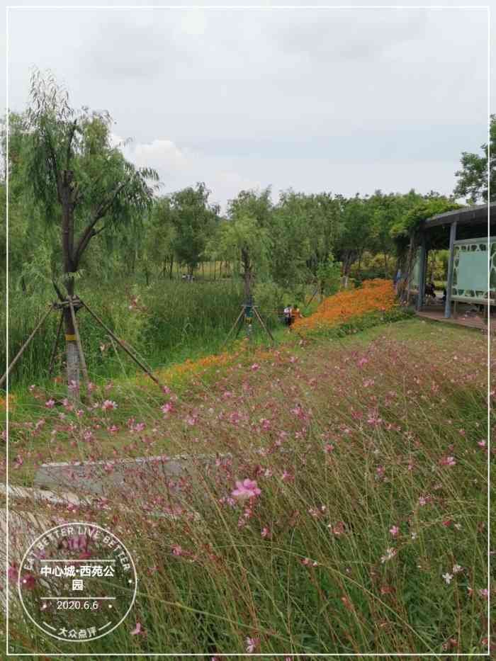 中心城61西苑公园-"周末踏青好去处,往里面走人比较