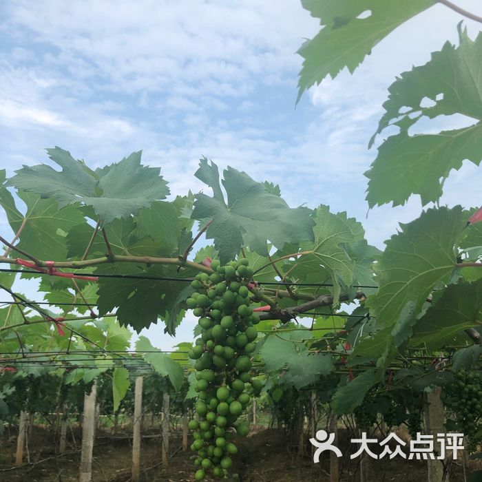 鹏林生态园