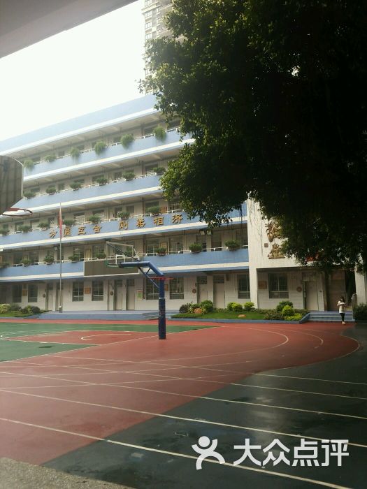 金兰苑小学图片 - 第4张