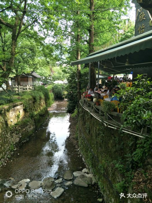 欣怡茶庄·梅家坞自家茶园-环境图片-杭州美食-大众点评网