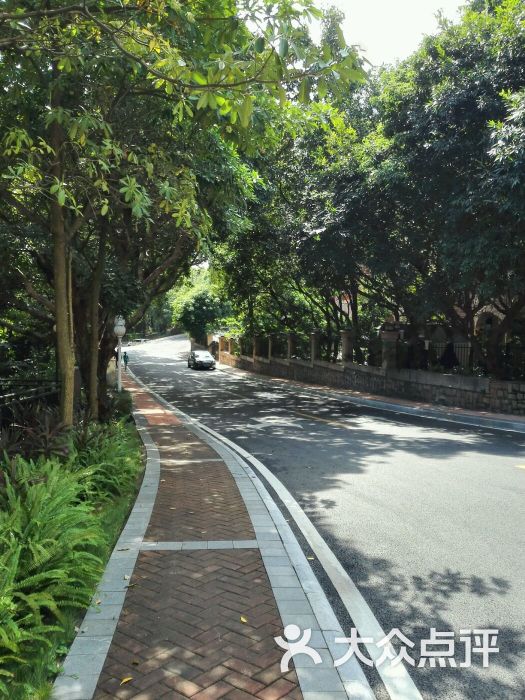 珠海度假村游泳池-图片-珠海酒店-大众点评网