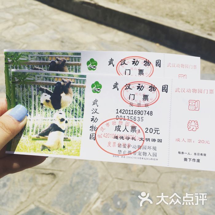武汉动物园图片 - 第15张