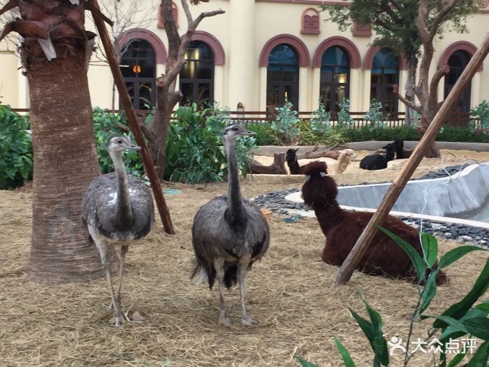 熊猫酒店·自助餐厅