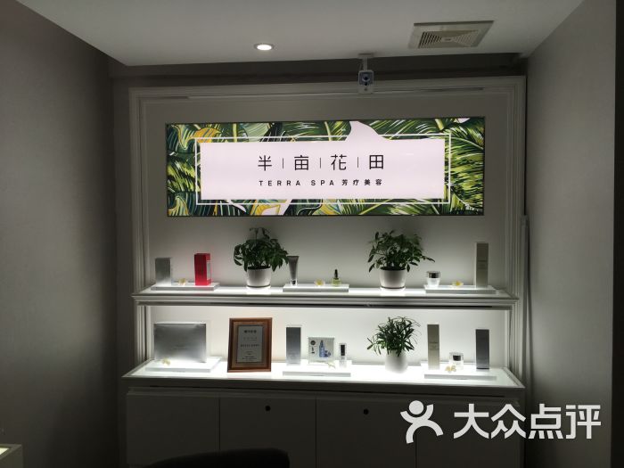 半亩花田(金桥店)图片 第1张