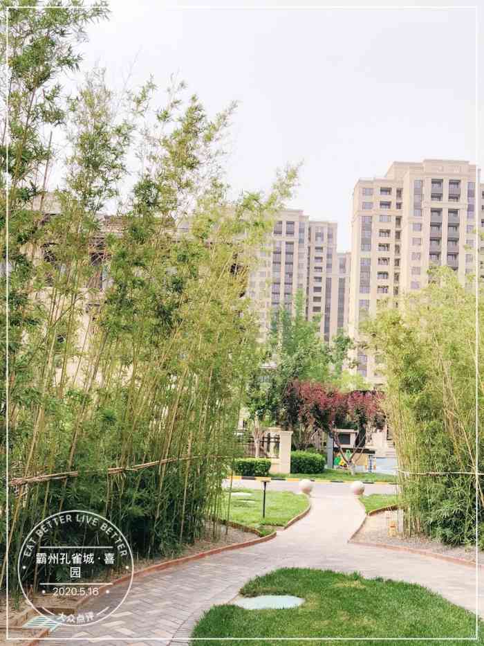霸州孔雀城·喜园-"20200920 周日愉快99 ."-大众