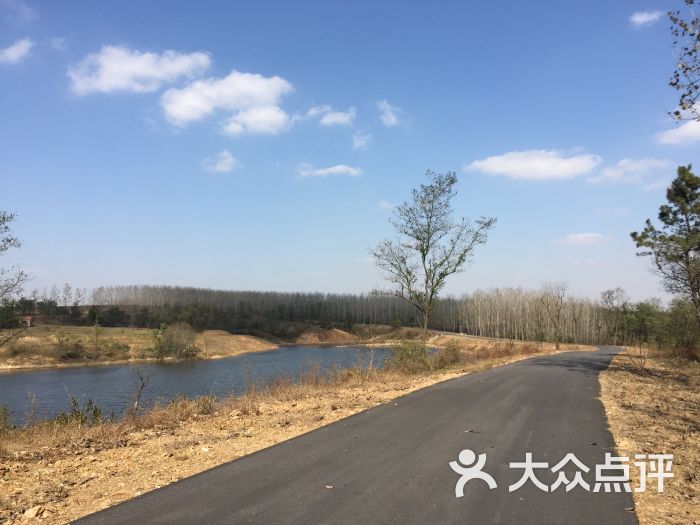 青松岭森林公园-图片-东海县周边游-大众点评网