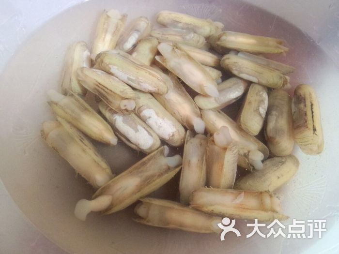 还有蛏子 花蛤 鸟贝 和我不认识的一些贝壳类海鲜 也有很多菜类 还有