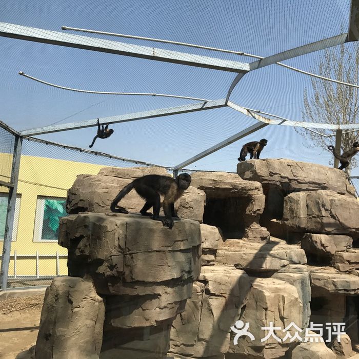爱保野生动物世界图片-北京动物园-大众点评网