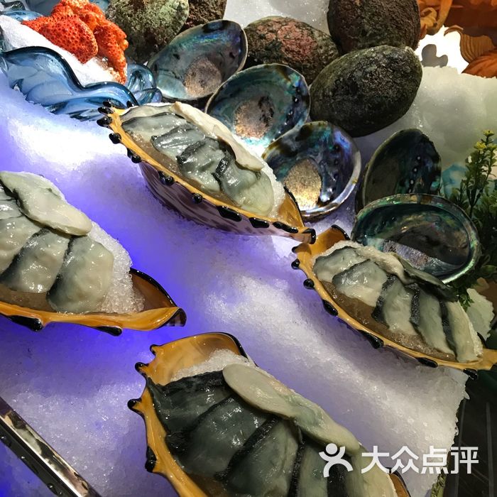 金鼎汇海鲜自助餐厅 澳洲黑金大澳鲍