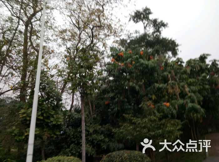 龙洞树木公园-图片-广州周边游-大众点评网