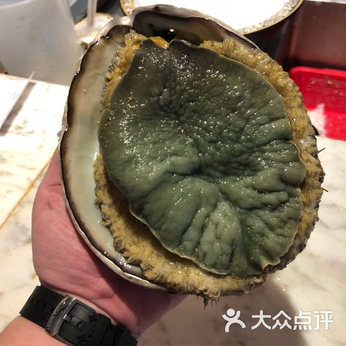 不倒翁中日火锅料理(国际广场店)特大南非鲍鱼图片 第3张