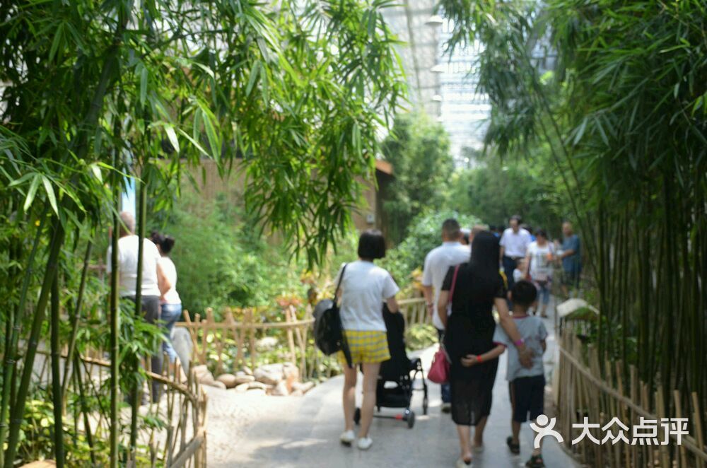 电谷城市低碳公园图片 - 第57张