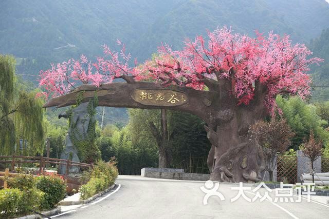 桃花谷景区图片-北京自然风光-大众点评网