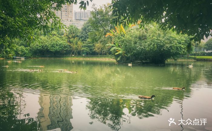 天鹅湖餐厅图片 - 第10张