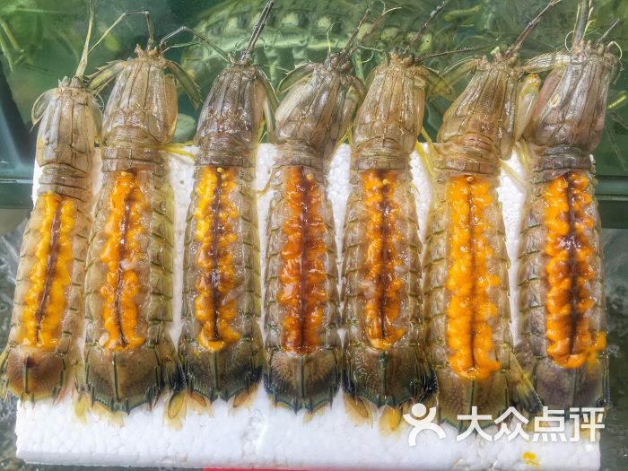 蚝专家-有膏濑尿虾图片-顺德区美食-大众点评网